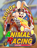 Does Thailand Have Casinos? มาทำความรู้จักกัน